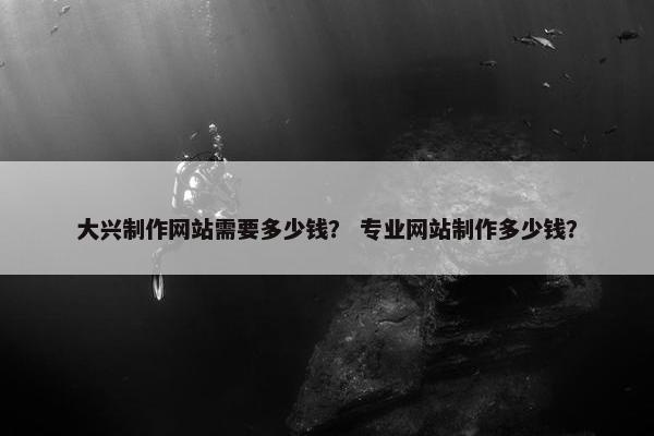 大兴制作网站需要多少钱？ 专业网站制作多少钱？