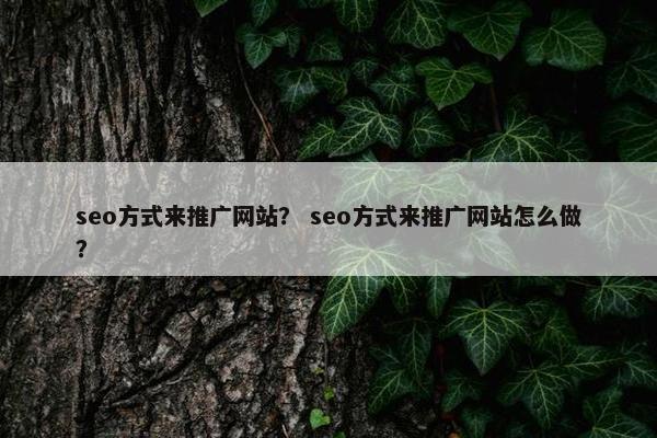 seo方式来推广网站？ seo方式来推广网站怎么做？