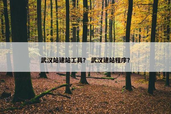 武汉站建站工具？ 武汉建站程序？