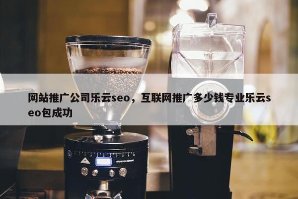 网站推广公司乐云seo，互联网推广多少钱专业乐云seo包成功