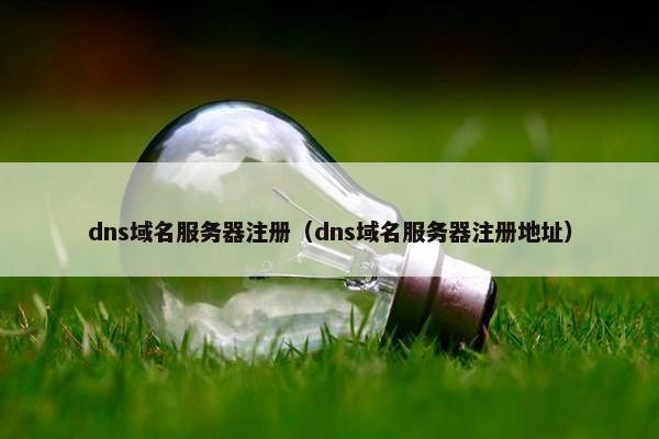 dns域名服务器注册（dns域名服务器注册地址）