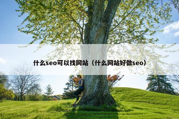 什么seo可以找网站（什么网站好做seo）