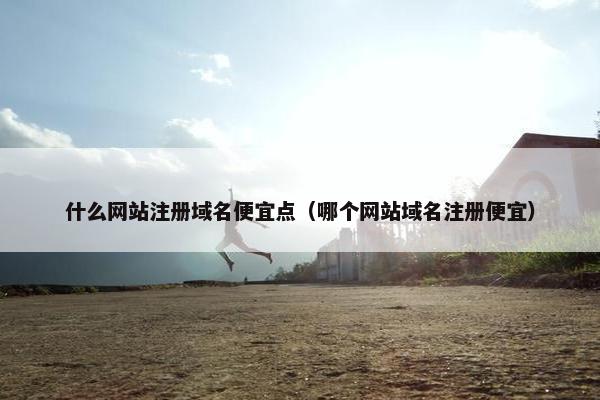 什么网站注册域名便宜点（哪个网站域名注册便宜）