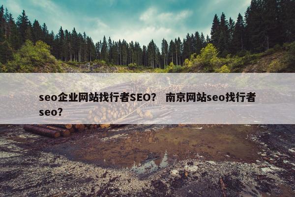 seo企业网站找行者SEO？ 南京网站seo找行者seo？