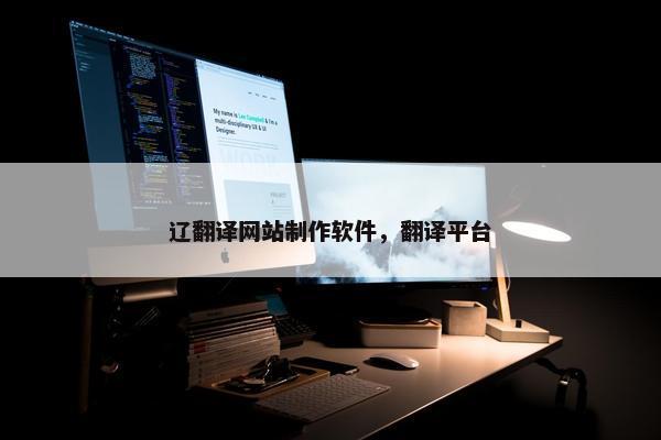 辽翻译网站制作软件，翻译平台