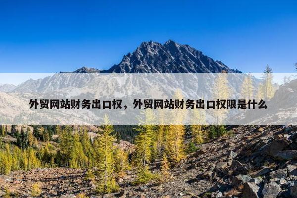 外贸网站财务出口权，外贸网站财务出口权限是什么
