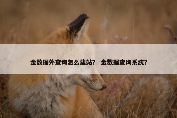 金数据外查询怎么建站？ 金数据查询系统？