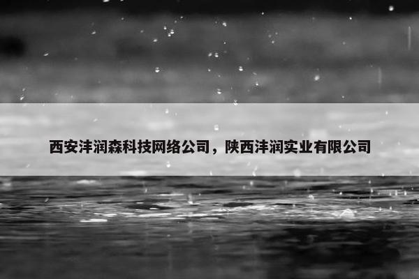 西安沣润森科技网络公司，陕西沣润实业有限公司