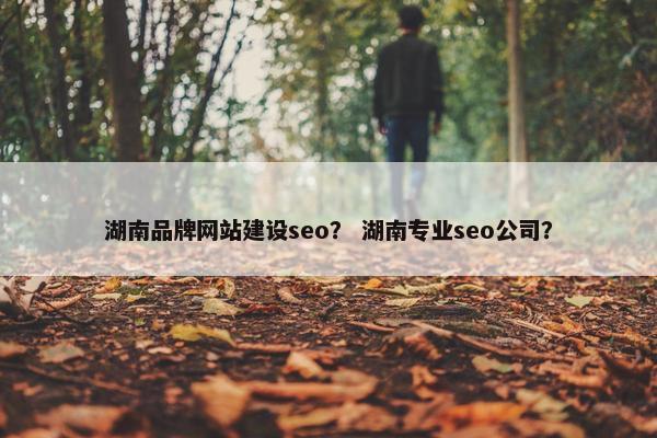 湖南品牌网站建设seo？ 湖南专业seo公司？