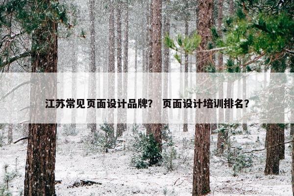 江苏常见页面设计品牌？ 页面设计培训排名？