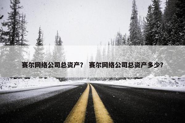 赛尔网络公司总资产？ 赛尔网络公司总资产多少？