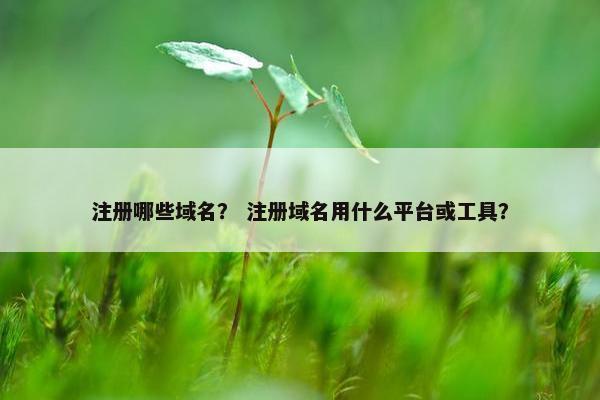注册哪些域名？ 注册域名用什么平台或工具？