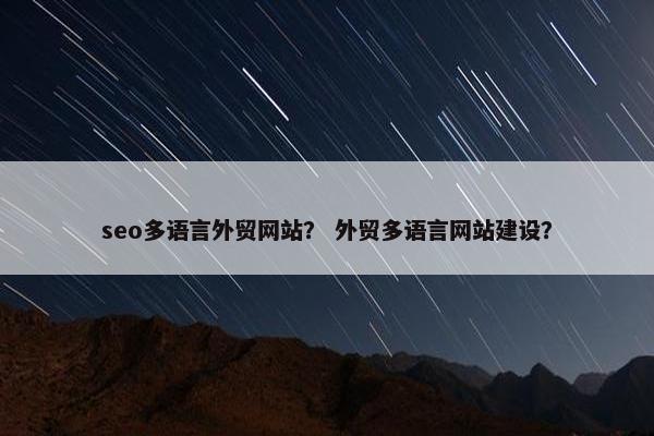 seo多语言外贸网站？ 外贸多语言网站建设？