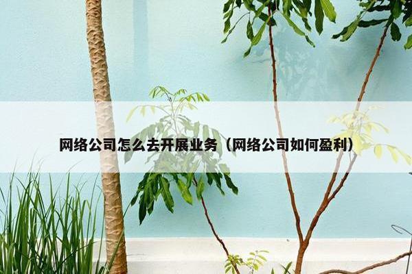 网络公司怎么去开展业务（网络公司如何盈利）