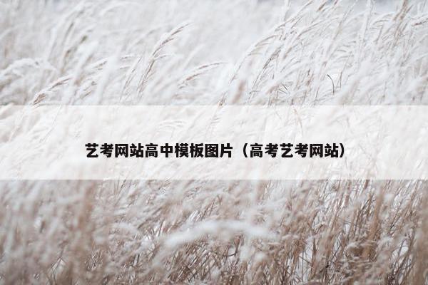 艺考网站高中模板图片（高考艺考网站）