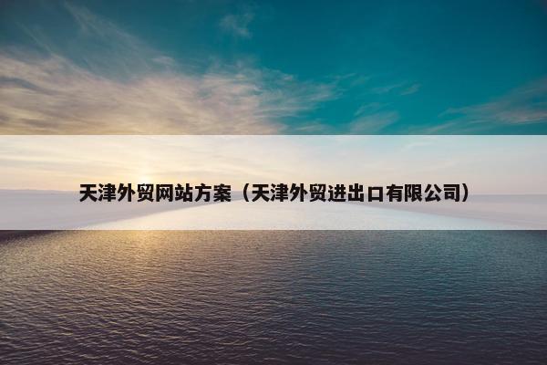 天津外贸网站方案（天津外贸进出口有限公司）