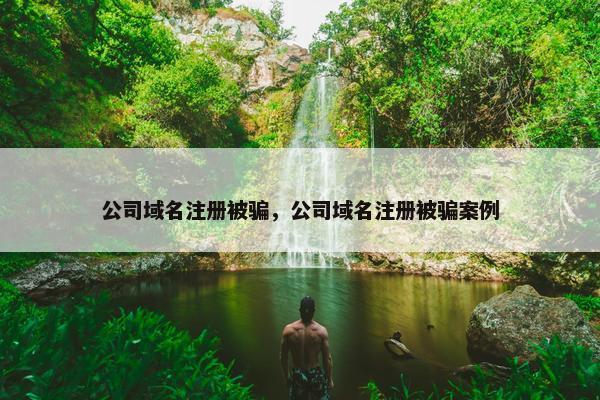 公司域名注册被骗，公司域名注册被骗案例