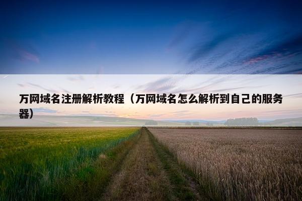 万网域名注册解析教程（万网域名怎么解析到自己的服务器）