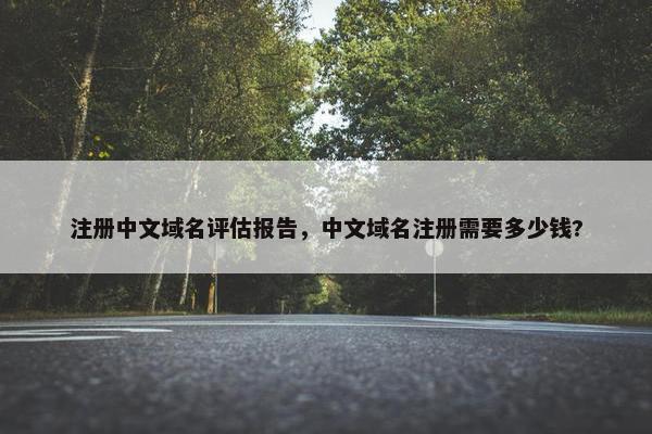 注册中文域名评估报告，中文域名注册需要多少钱?