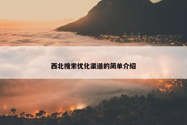西北搜索优化渠道的简单介绍
