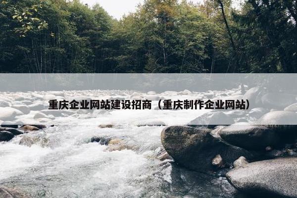 重庆企业网站建设招商（重庆制作企业网站）