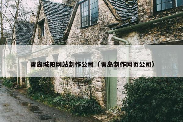 青岛城阳网站制作公司（青岛制作网页公司）