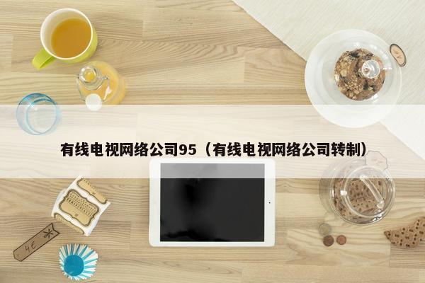 有线电视网络公司95（有线电视网络公司转制）