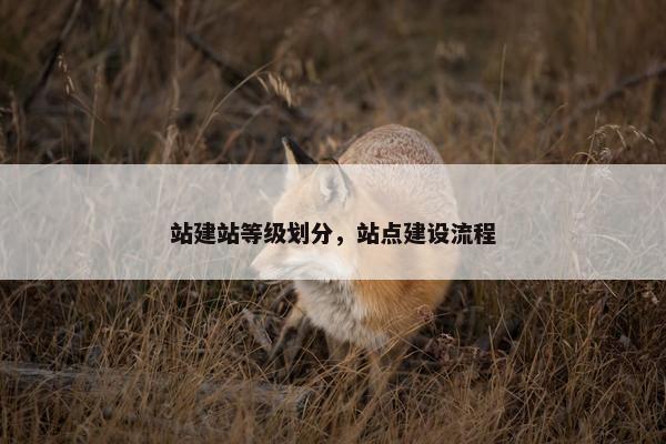 站建站等级划分，站点建设流程