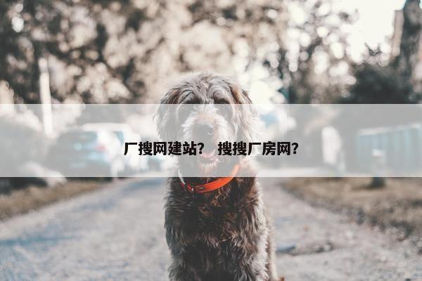厂搜网建站？ 搜搜厂房网？