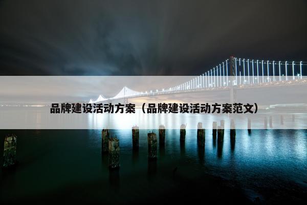 品牌建设活动方案（品牌建设活动方案范文）