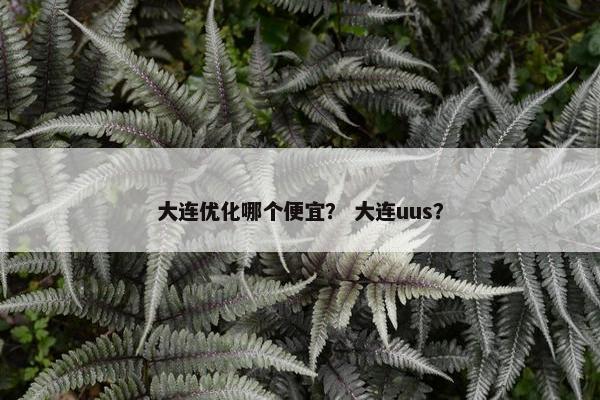 大连优化哪个便宜？ 大连uus？