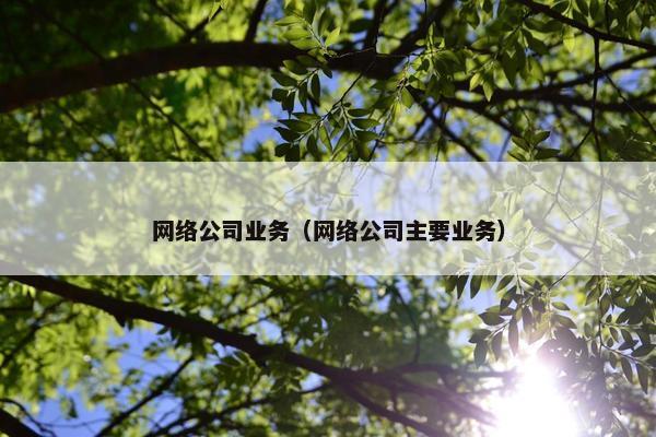 网络公司业务（网络公司主要业务）