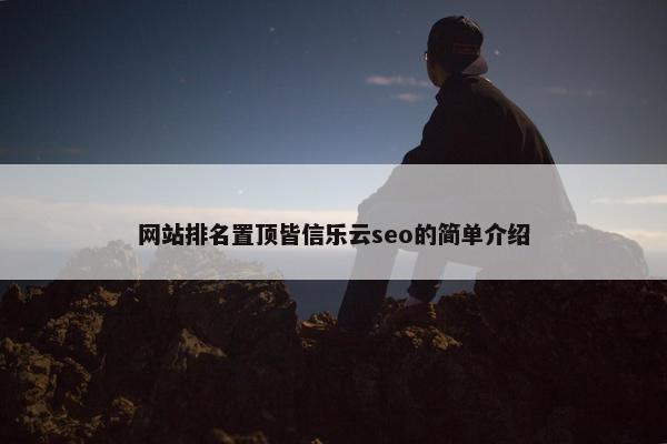 网站排名置顶皆信乐云seo的简单介绍