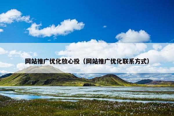 网站推广优化放心投（网站推广优化联系方式）