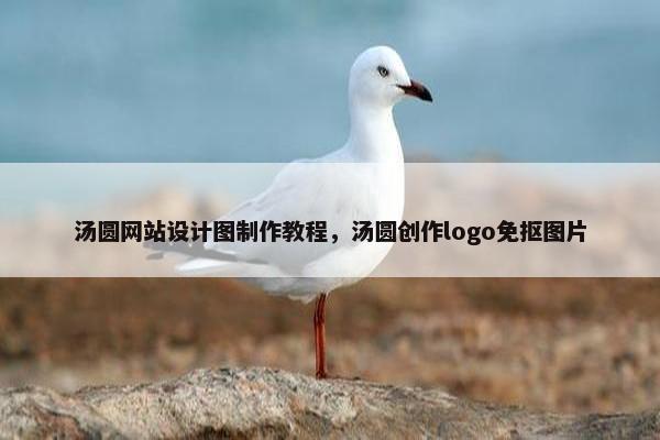 汤圆网站设计图制作教程，汤圆创作logo免抠图片