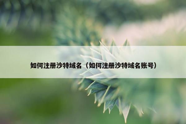 如何注册沙特域名（如何注册沙特域名账号）