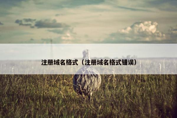 注册域名格式（注册域名格式错误）