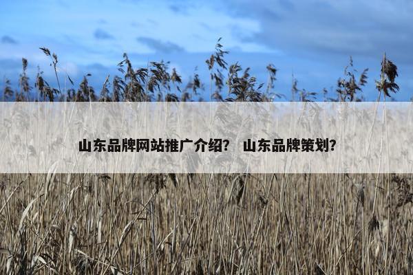 山东品牌网站推广介绍？ 山东品牌策划？
