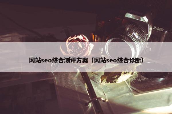 网站seo综合测评方案（网站seo综合诊断）