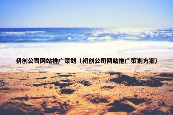 初创公司网站推广策划（初创公司网站推广策划方案）