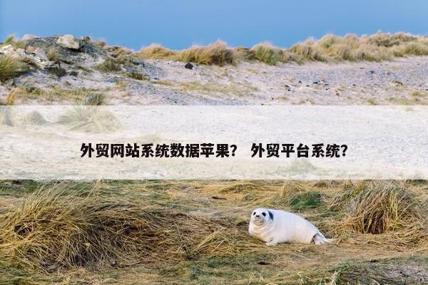外贸网站系统数据苹果？ 外贸平台系统？