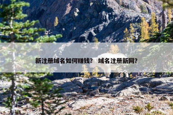 新注册域名如何赚钱？ 域名注册新网？