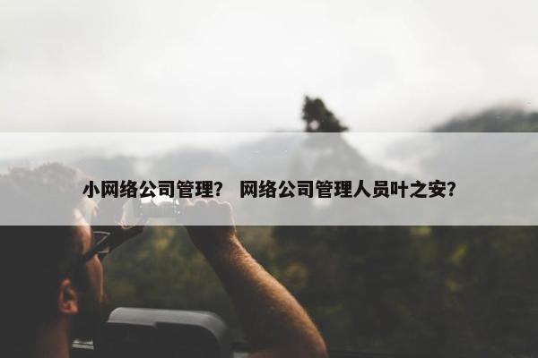 小网络公司管理？ 网络公司管理人员叶之安？