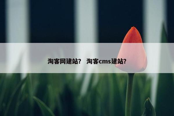 淘客网建站？ 淘客cms建站？