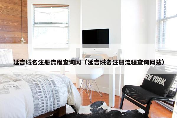 延吉域名注册流程查询网（延吉域名注册流程查询网站）