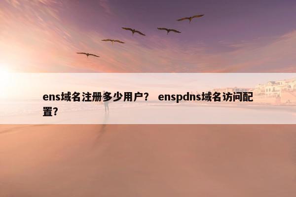 ens域名注册多少用户？ enspdns域名访问配置？