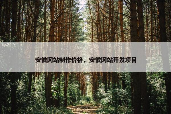 安徽网站制作价格，安徽网站开发项目
