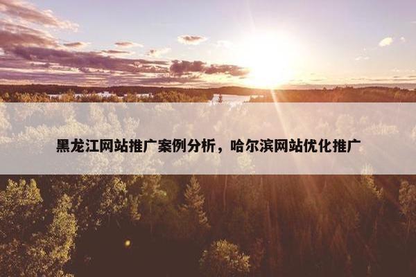 黑龙江网站推广案例分析，哈尔滨网站优化推广