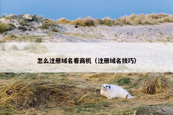 怎么注册域名看商机（注册域名技巧）