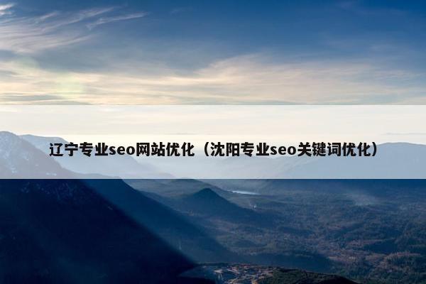 辽宁专业seo网站优化（沈阳专业seo关键词优化）